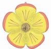 Blossom Yellow Flower Balloon with Helium Weight