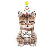 Cute Cat Kitten Cue the Catfetti Birthday Balloons with Helium and Weight
