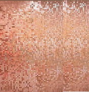 Rose Gold Shimmer Wall and Frame Rentals