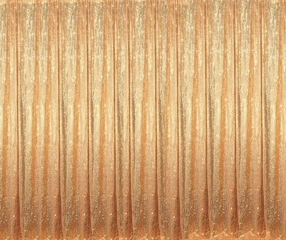 Backdrop Sequin Gold Curtains with Frame Rentals