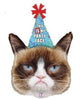 Grumpy Cat Head Birthday Foil Balloons with Helium and Weight
