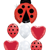 Ladybug Birthday Dots Holographic Balloon Bouquet